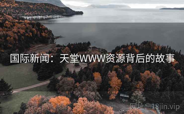 国际新闻：天堂WWW资源背后的故事  第1张