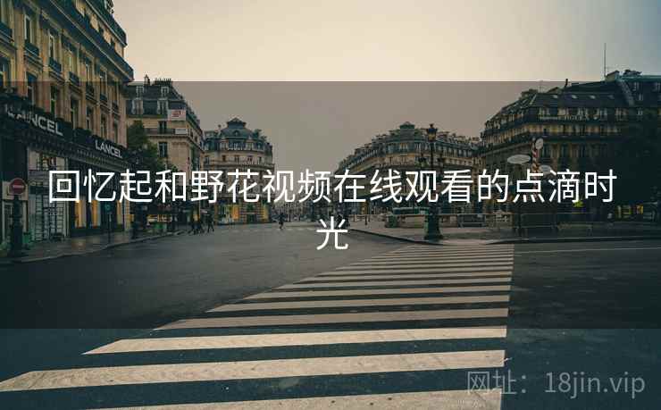 回忆起和野花视频在线观看的点滴时光  第1张