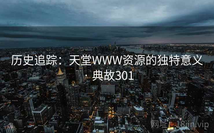 历史追踪：天堂WWW资源的独特意义 · 典故301