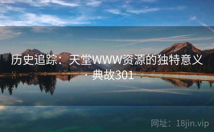 历史追踪：天堂WWW资源的独特意义 · 典故301  第2张