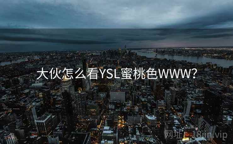 大伙怎么看YSL蜜桃色WWW？