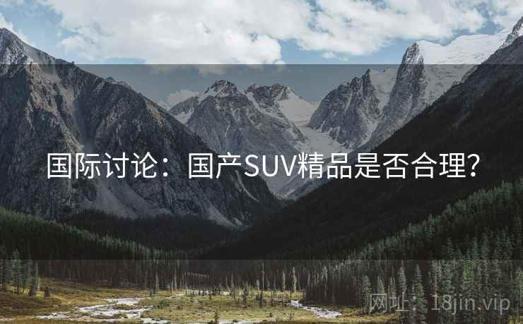 国际讨论：国产SUV精品是否合理？  第2张