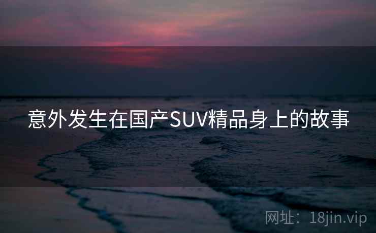 意外发生在国产SUV精品身上的故事  第2张