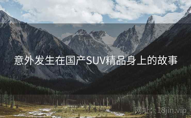 意外发生在国产SUV精品身上的故事  第1张