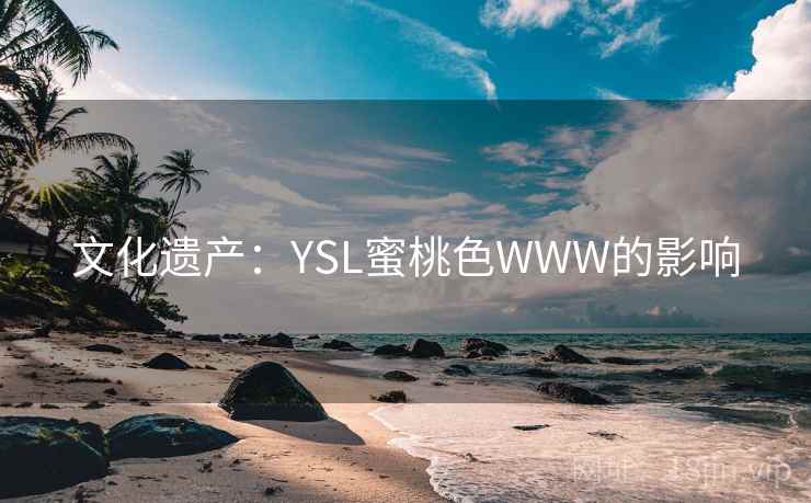 文化遗产：YSL蜜桃色WWW的影响  第2张